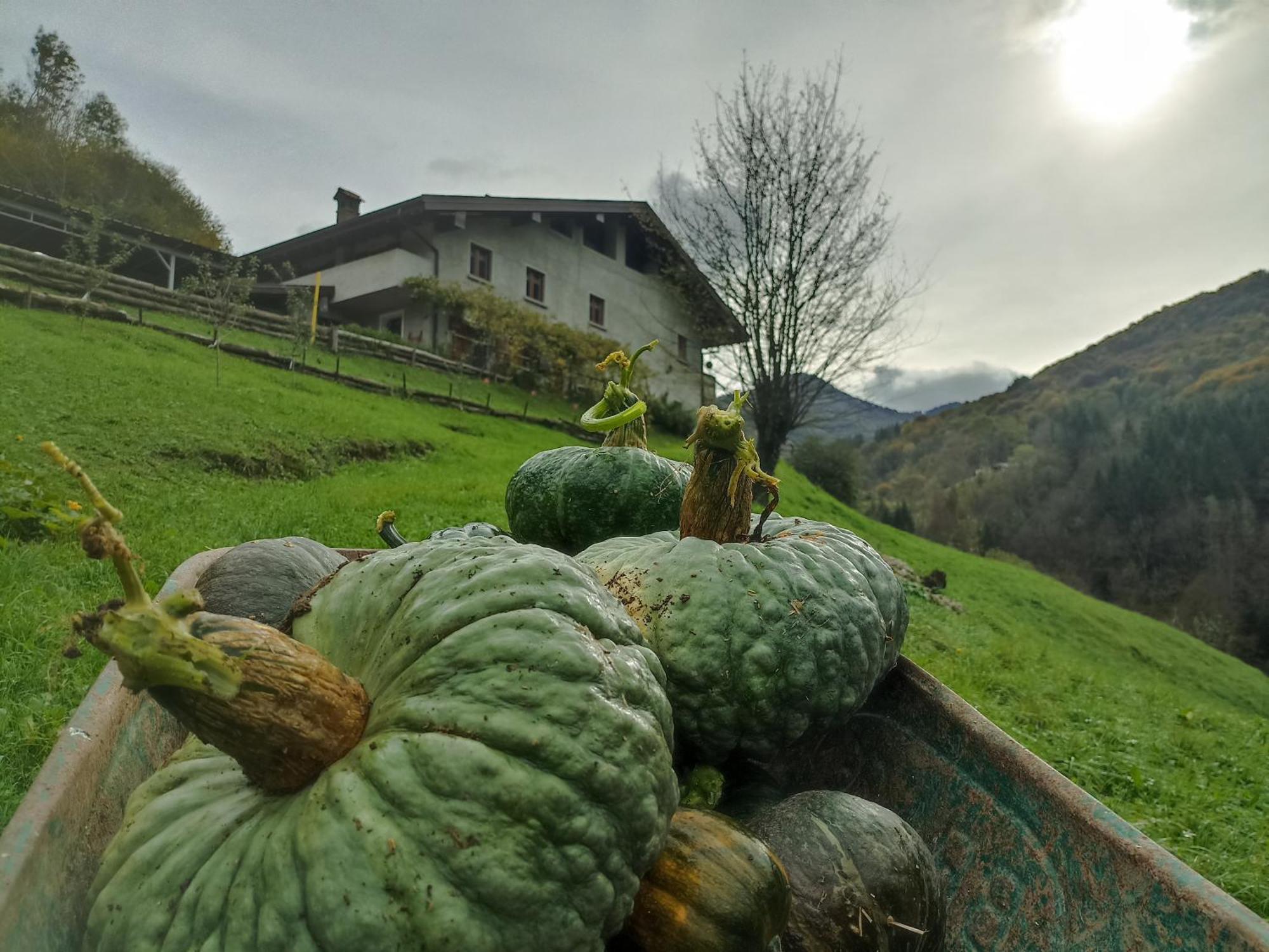 Agriturismo Cascina Cornella Cremeno Buitenkant foto