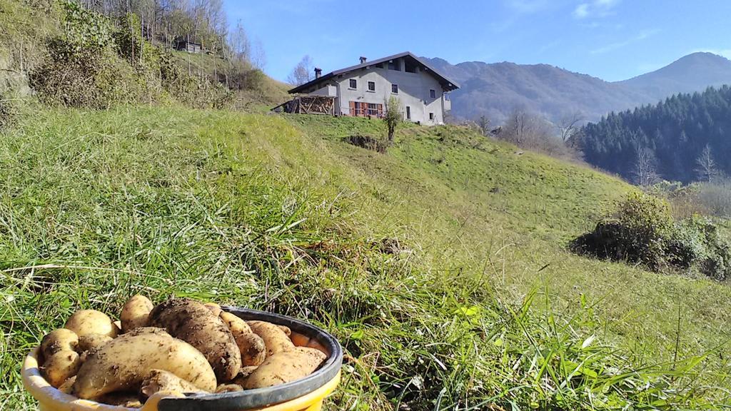 Agriturismo Cascina Cornella Cremeno Buitenkant foto