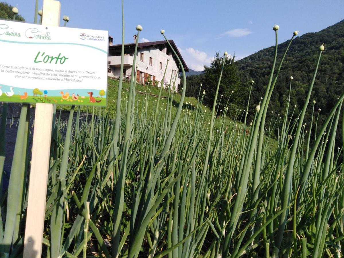 Agriturismo Cascina Cornella Cremeno Buitenkant foto